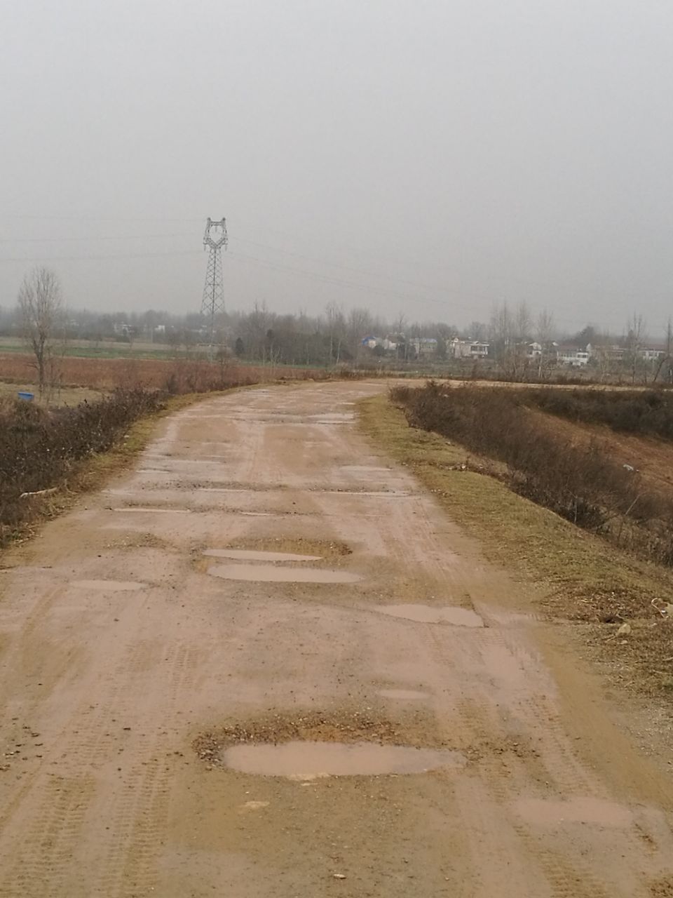 20200119_162690_1579423878810.jpg