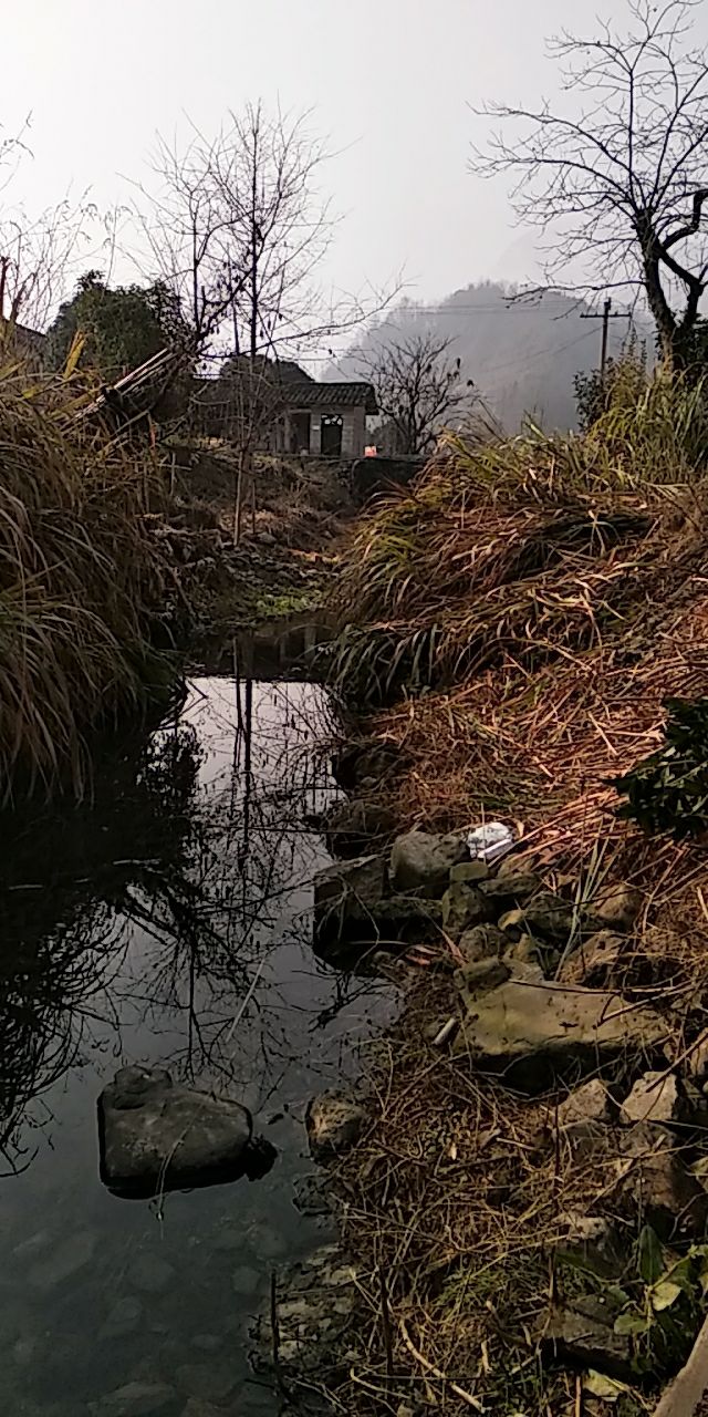 20200120_325795_1579487560398.jpg