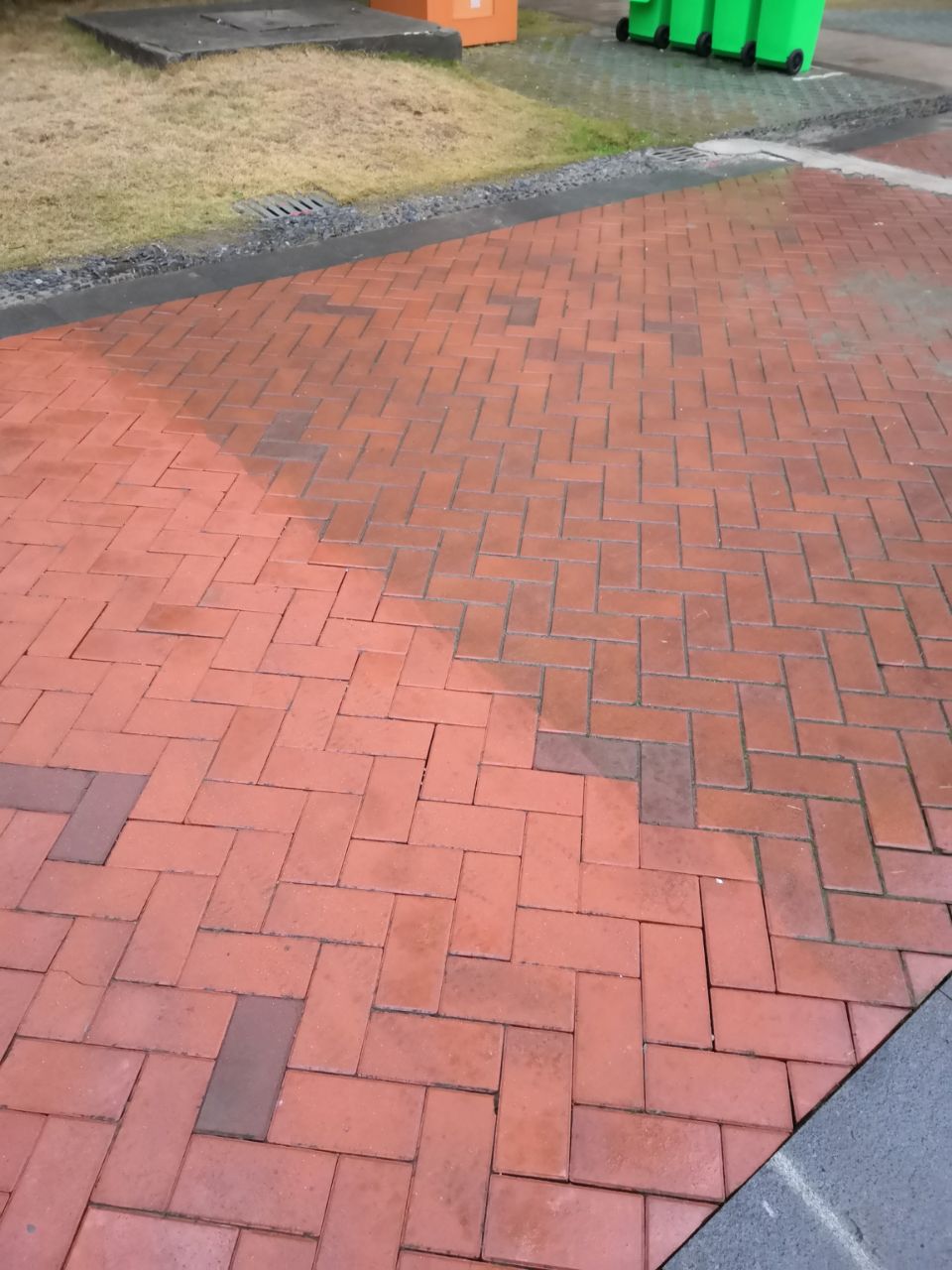 20200122_303813_1579672759172.jpg