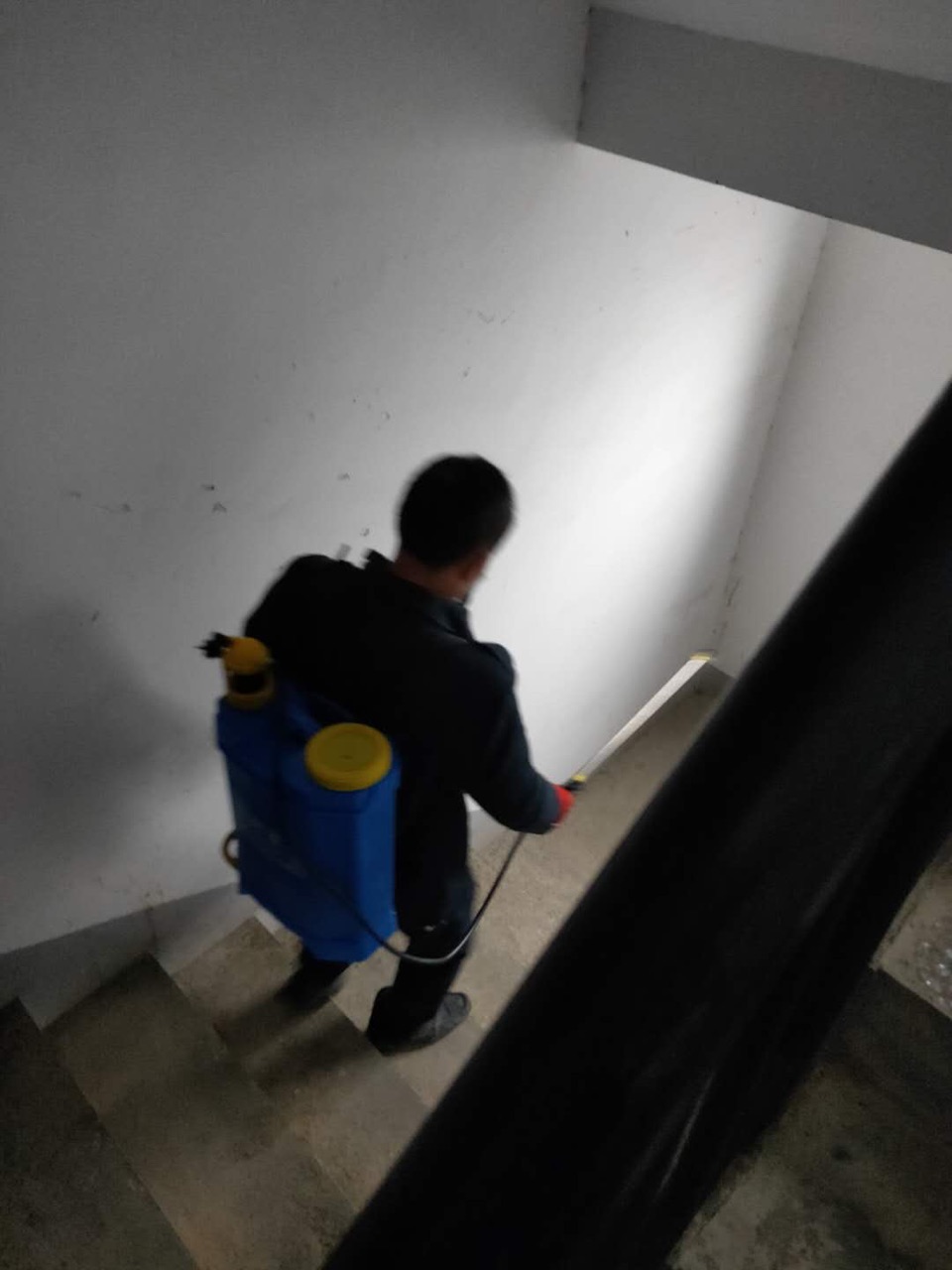 Fq1BBa3iSuTcGgLujKvvECVmJOau.jpg