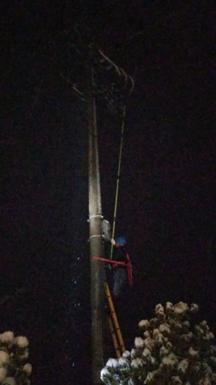 20200126_235798_1580044986934.jpg