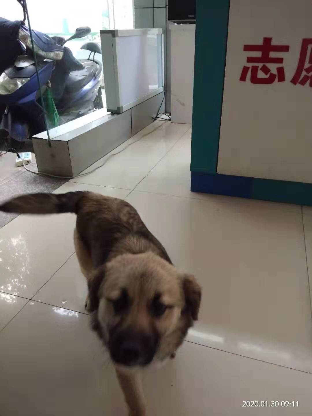 微信图片_20200130092948.jpg