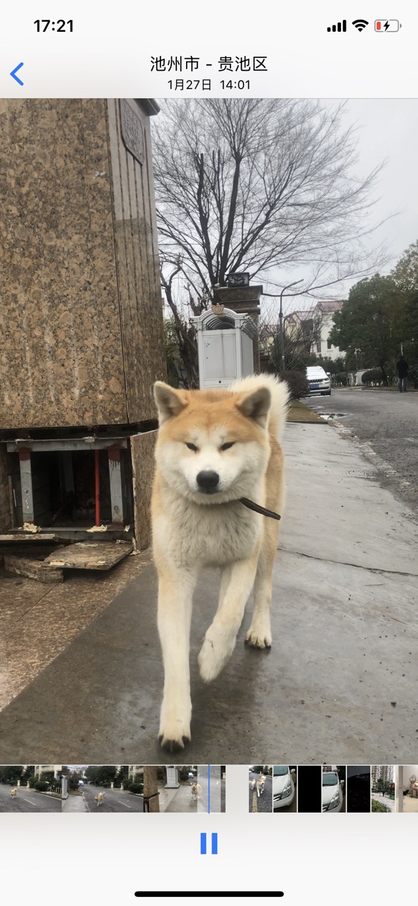 FkJM4fgWI3HzxKG0IKsAZAXPHXBU.jpg