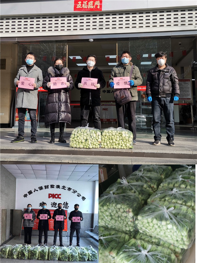 图片11.jpg