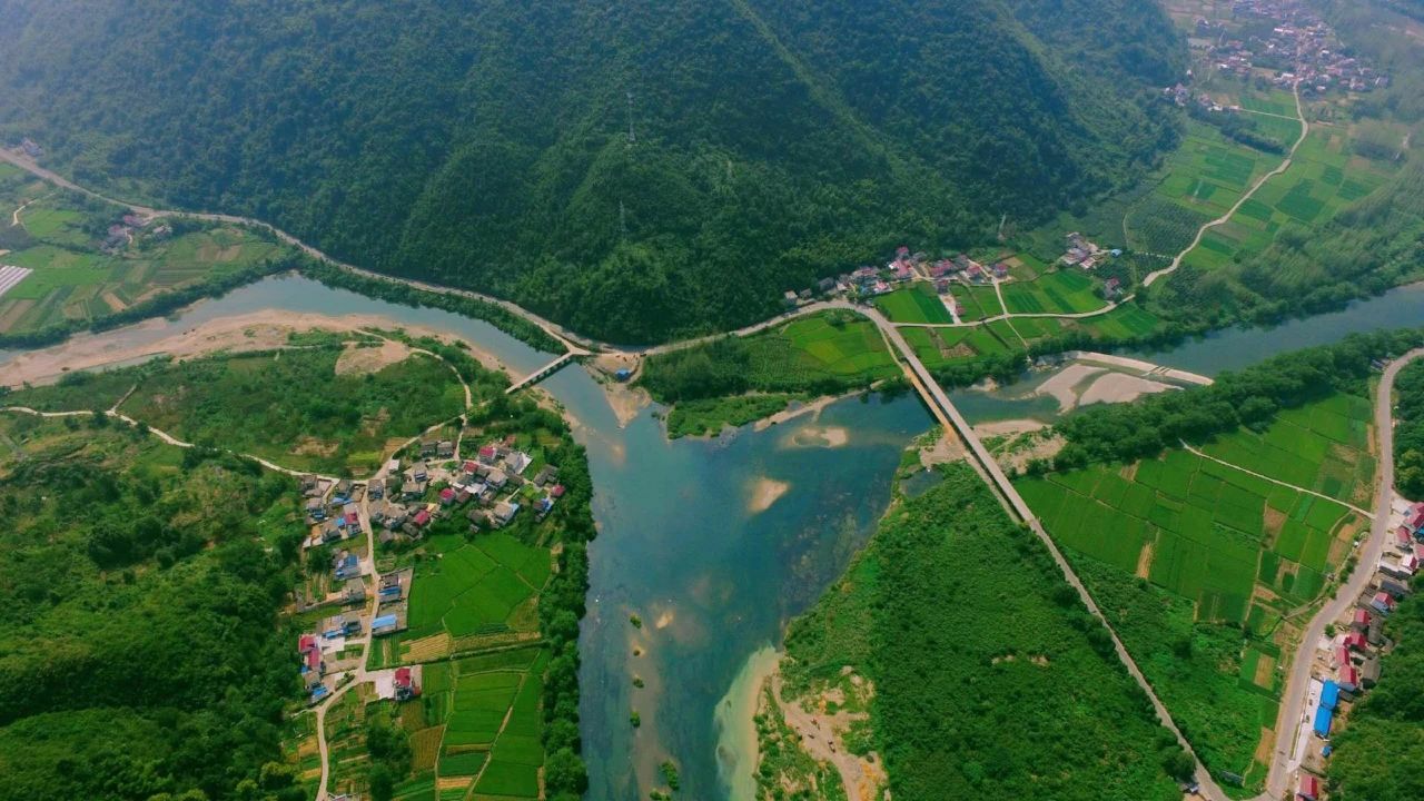 20200410_309939_1586479930130.jpg