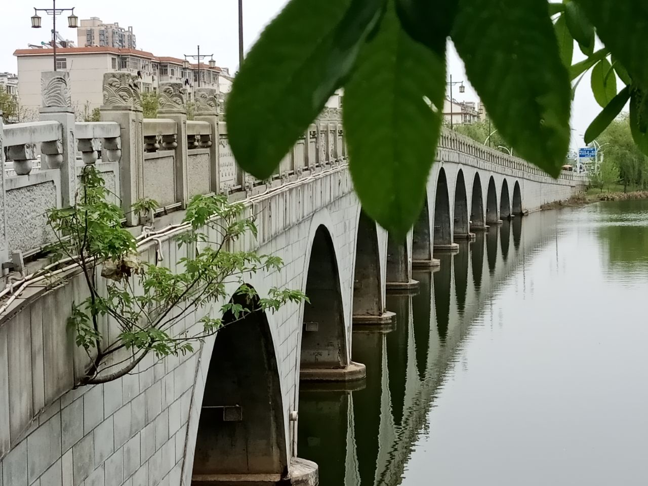 20200414_56354_1586853058050.jpg
