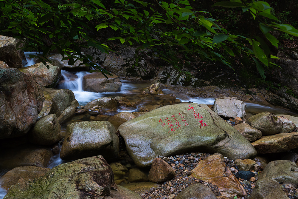 醉三野景区 (31).jpg