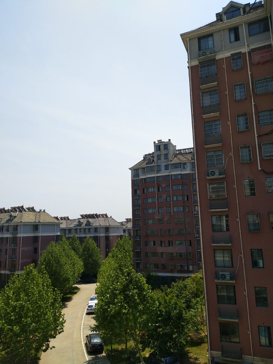 20200424_252203_1587701082982.jpg