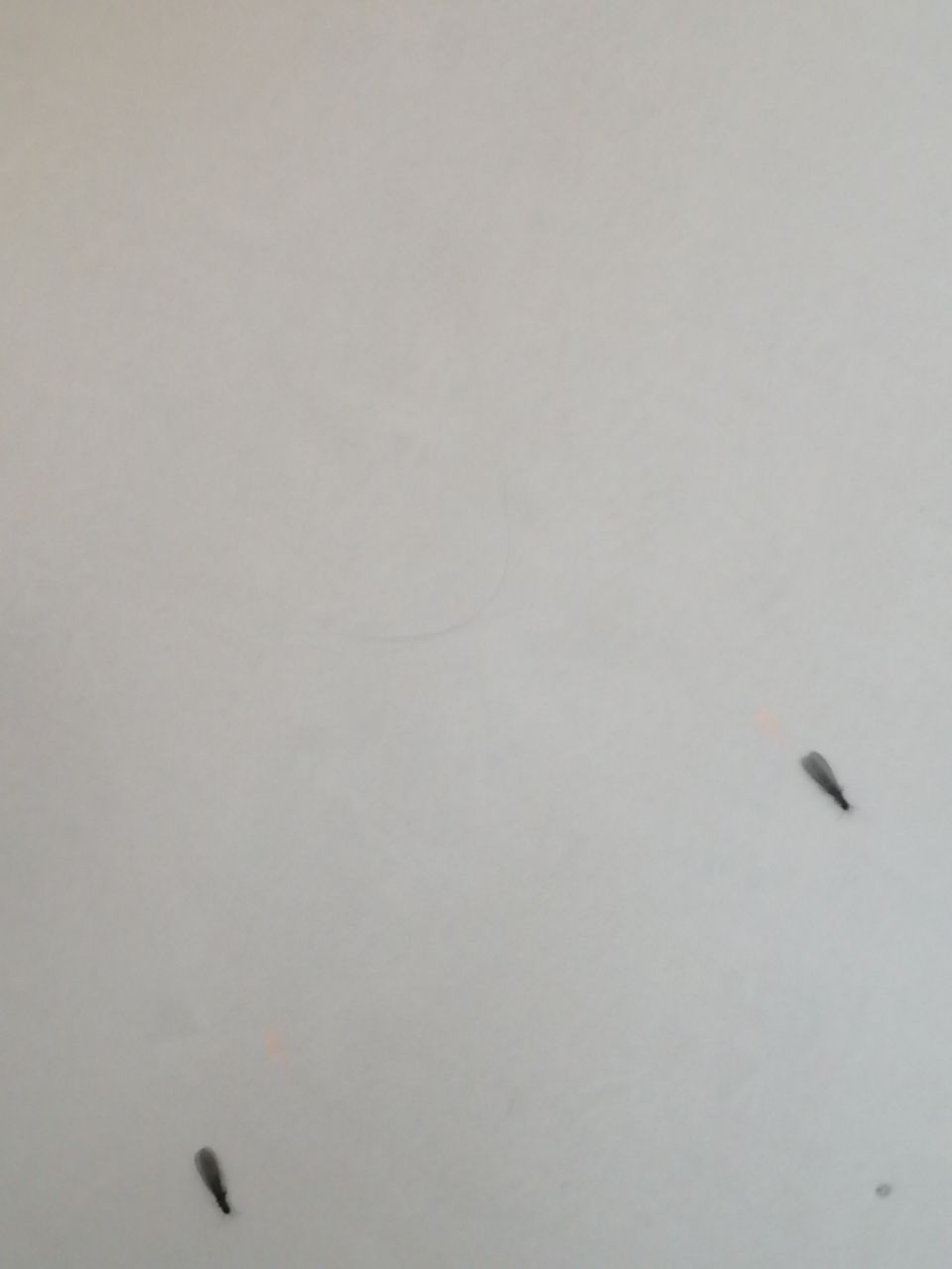 20200429_224585_1588170934262.jpg