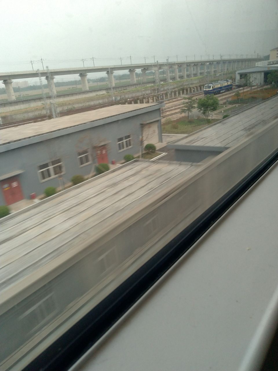 20200504_237751_1588585206790.jpg