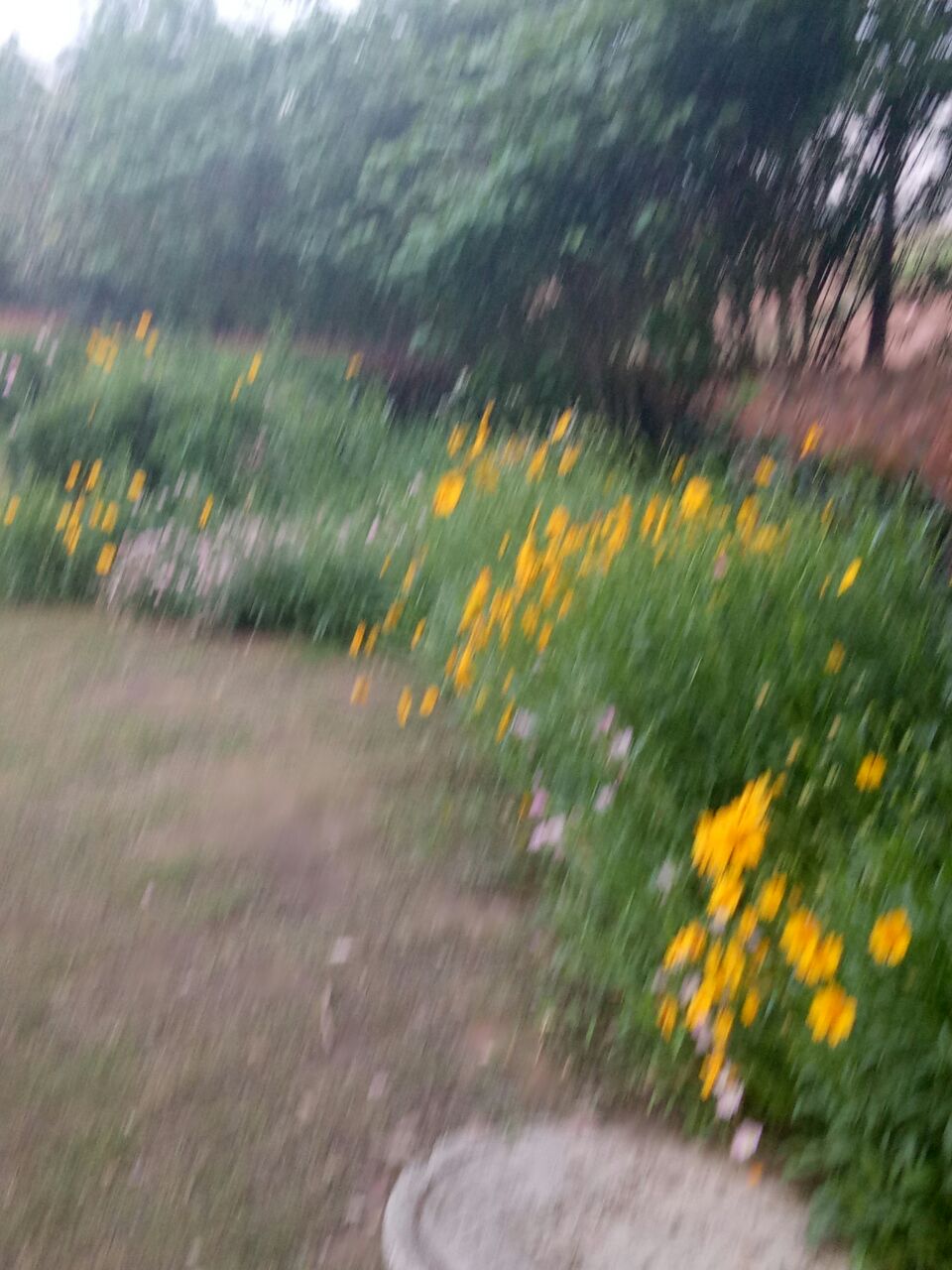 20200508_269525_1588902423644.jpg