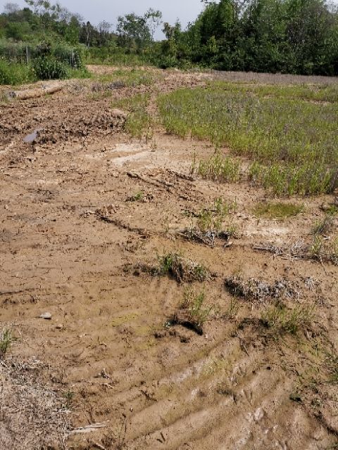 20200514_339467_1589454351361.jpg