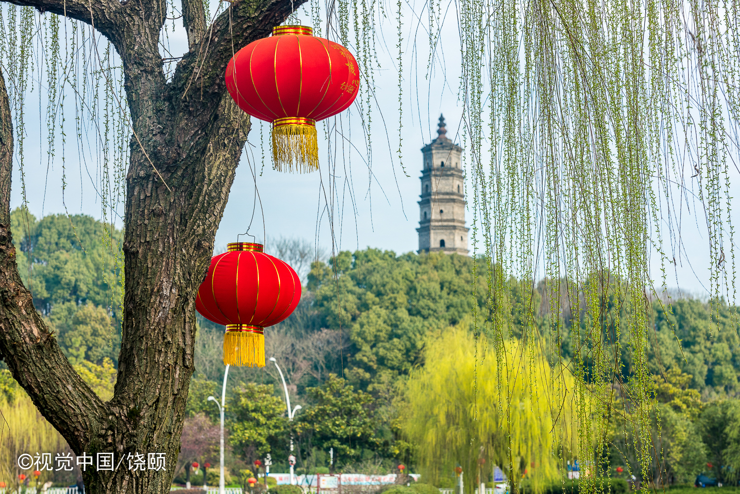 百牙-饶颐BYT (7).jpg