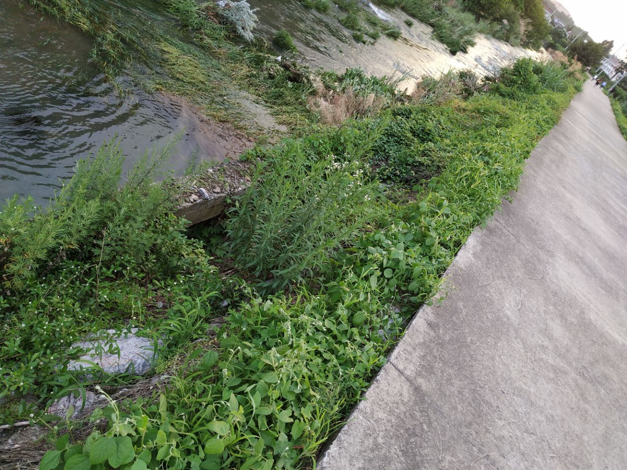20200617_324440_1592350766526.jpg