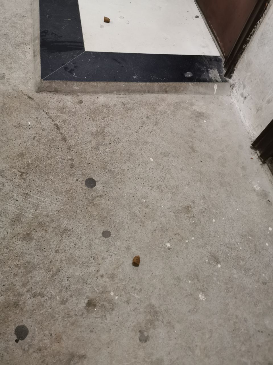 20200618_73437_1592475735966.jpg