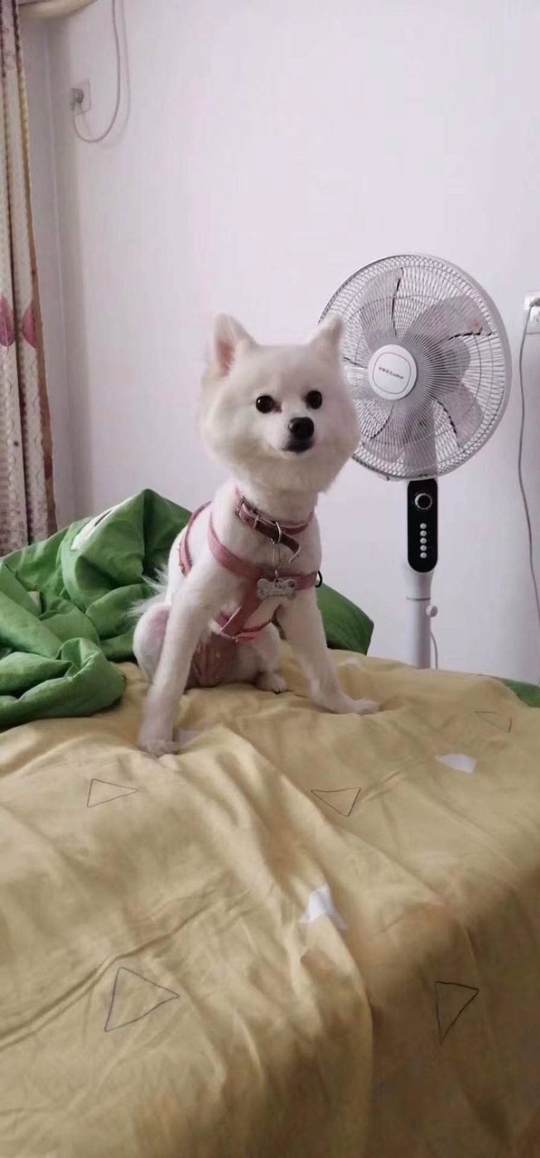 Fu_hU4LzUhufYD5-e7NLgfAjYbNb.jpg