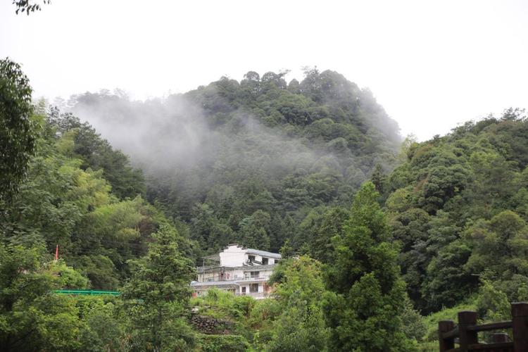 雨后大山村,风景美如画,空气真清新!