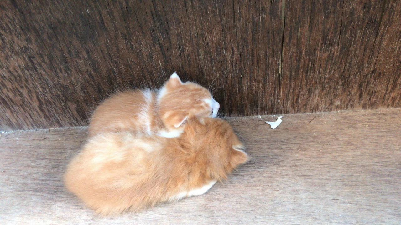 20200801_313277_1596248674592.jpg