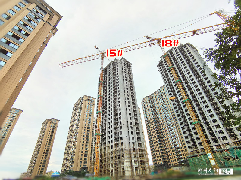 11_副本.jpg