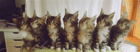 20200815_280485_1597499670572.gif