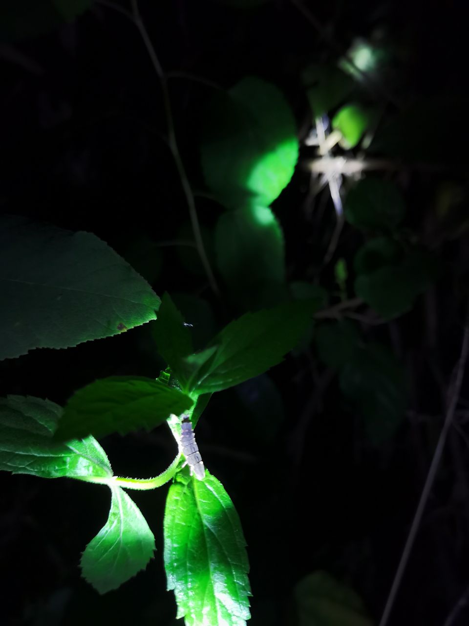 20200816_276521_1597555376841.jpg
