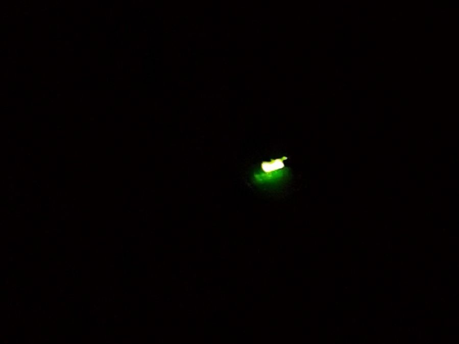 20200816_276521_1597555377429.jpg