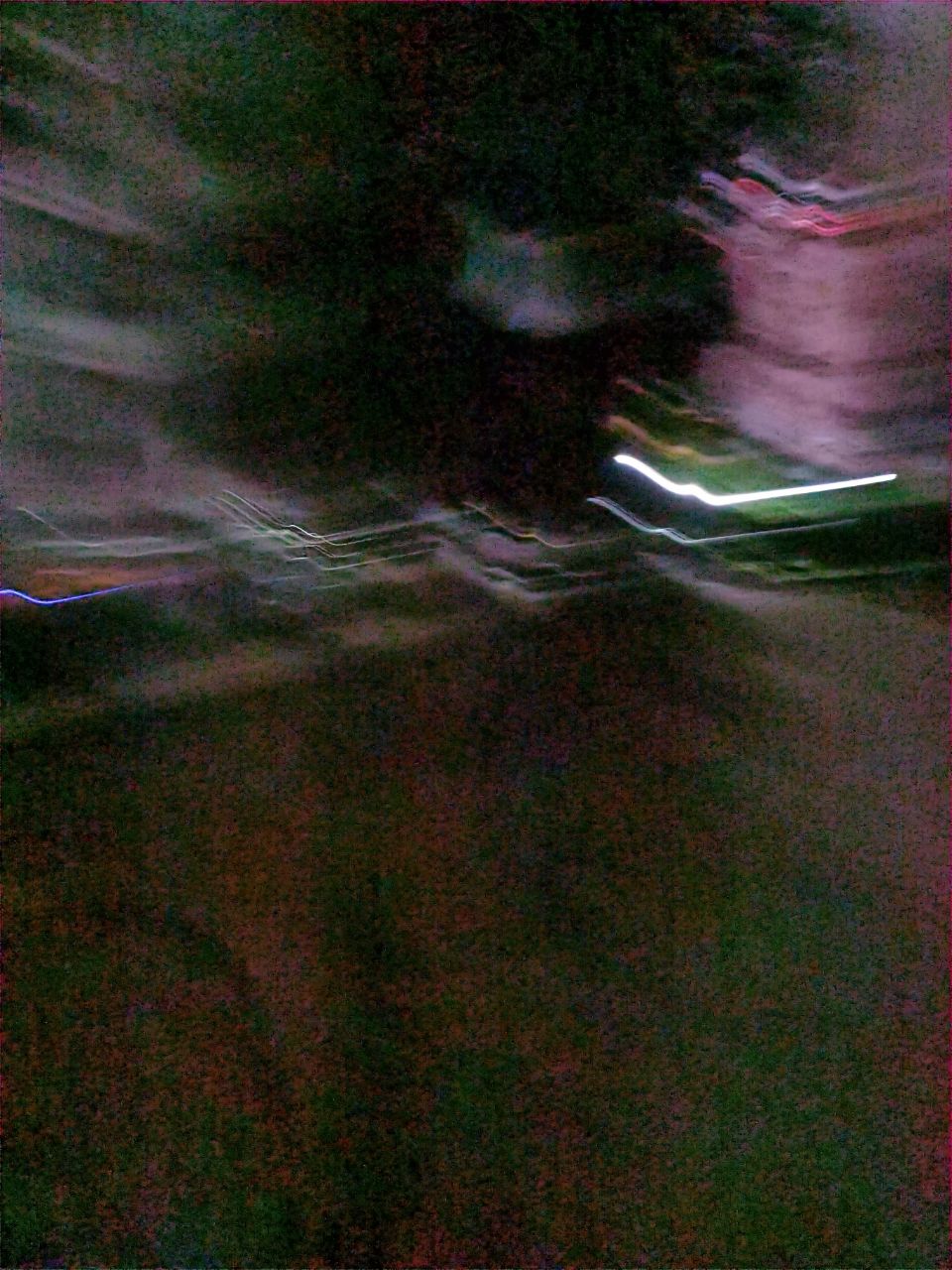 20200817_41087_1597675117695.jpg