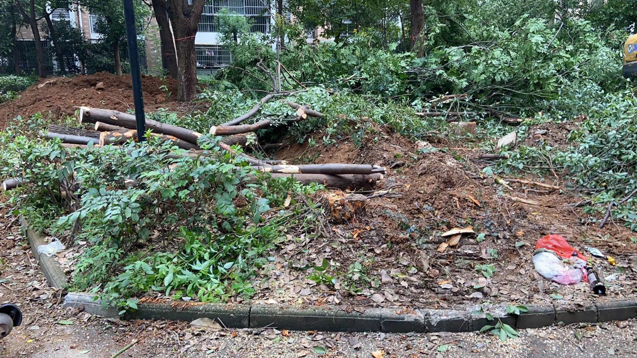 20200822_335480_1598069602262.jpg