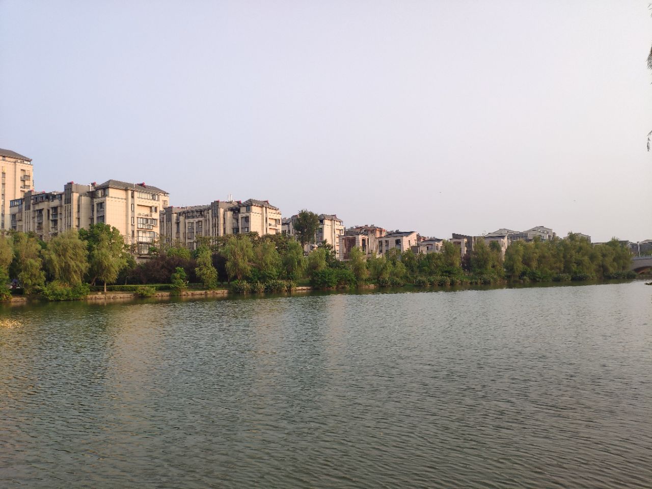 20200827_238133_1598517127092.jpg