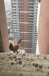 20200921_4824_1600655878254.gif