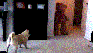 20200921_4824_1600655878265.gif