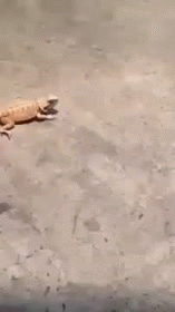 20200921_4824_1600655878267.gif