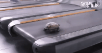 20200921_4824_1600655878273.gif
