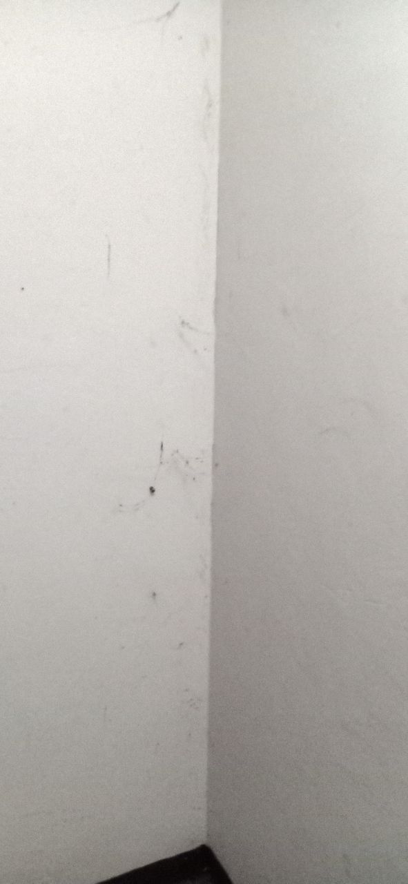 20201006_232951_1601954777677.jpg