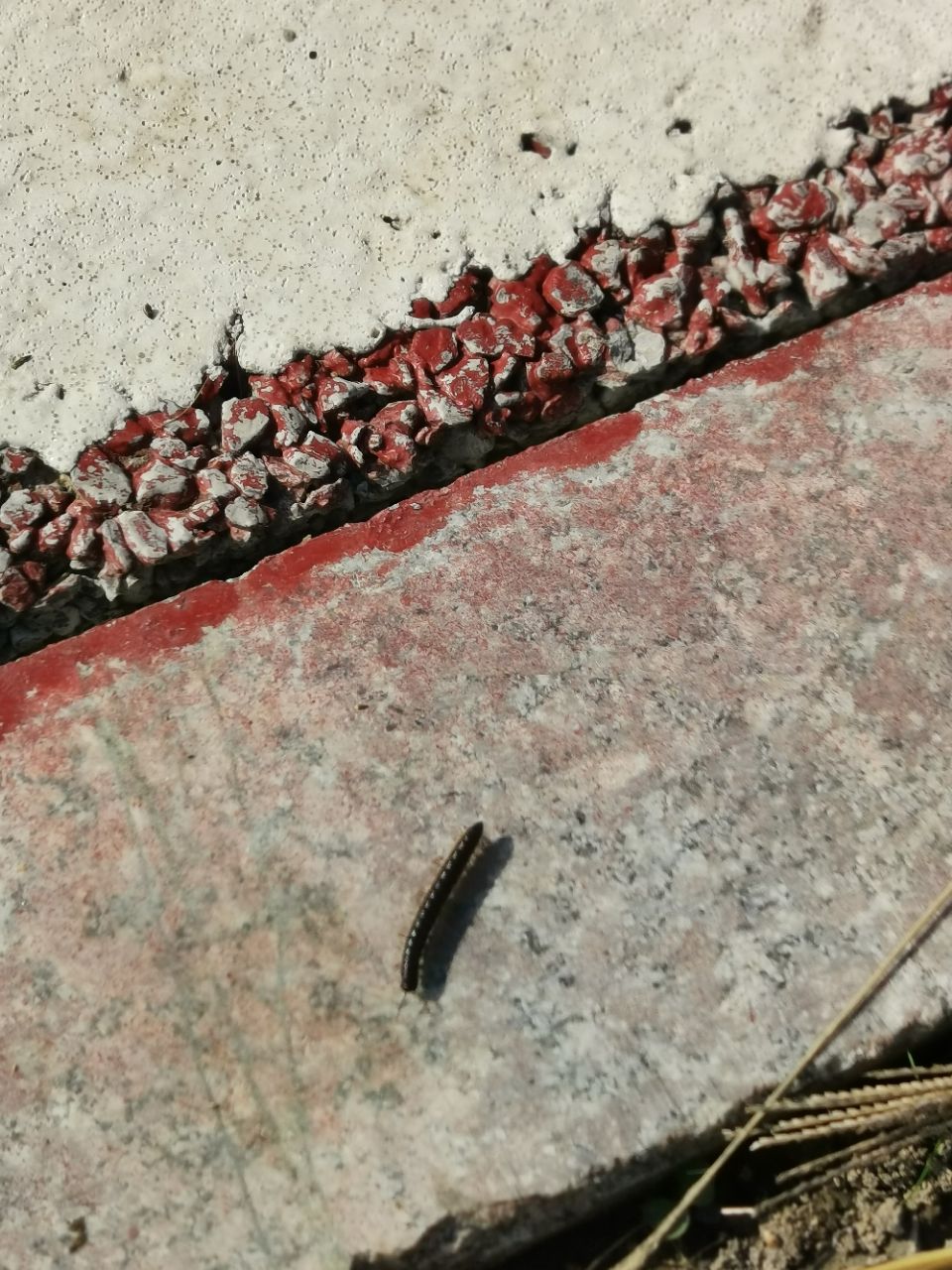20201020_20090_1603159446246.jpg