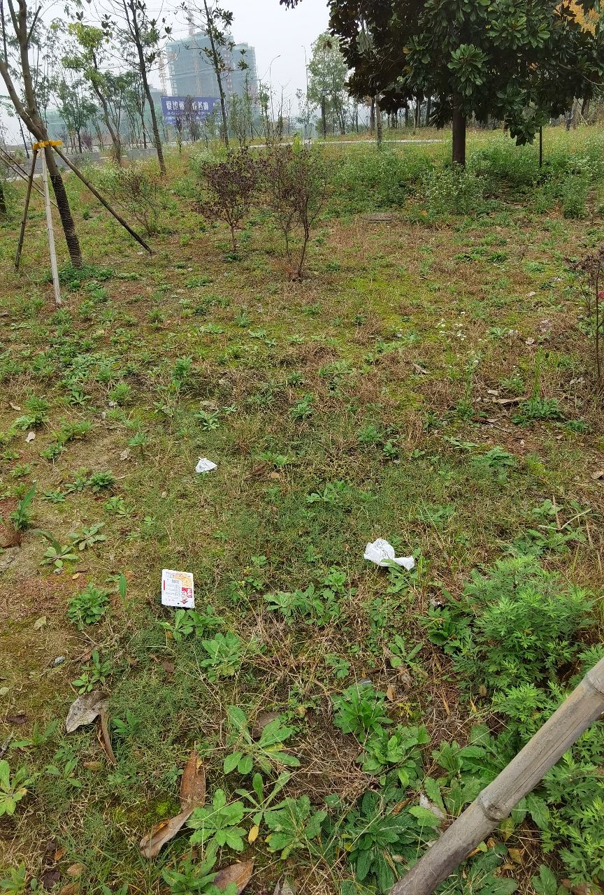 20201030_22754_1604056889000.jpg