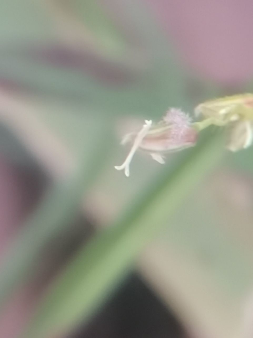 20201103_276521_1604404580016.jpg