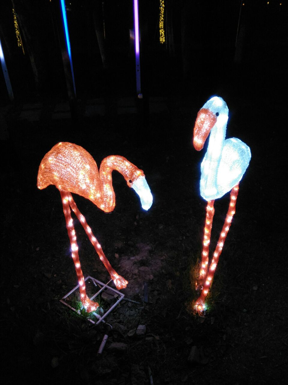 20201221_252099_1608550430229.jpg