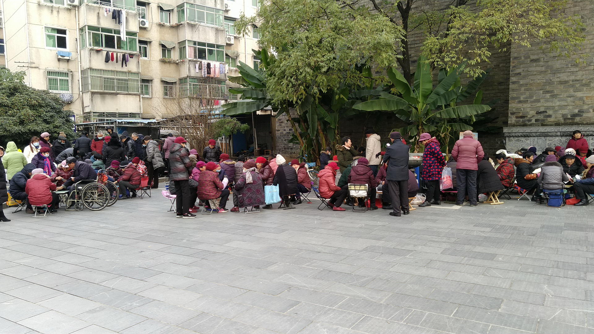 IMG_20201217_152558x.jpg