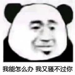 front2_0_Fk_QrJYzcCBZQ2GLhyr3R_wBVplu.1608986883.jpg