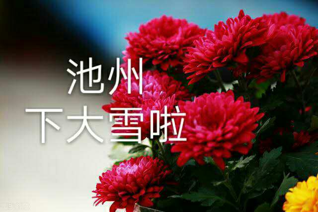 front2_0_FgbShe8RY2qr8PyUwnjuCPDtjcsb.1609230489.jpg