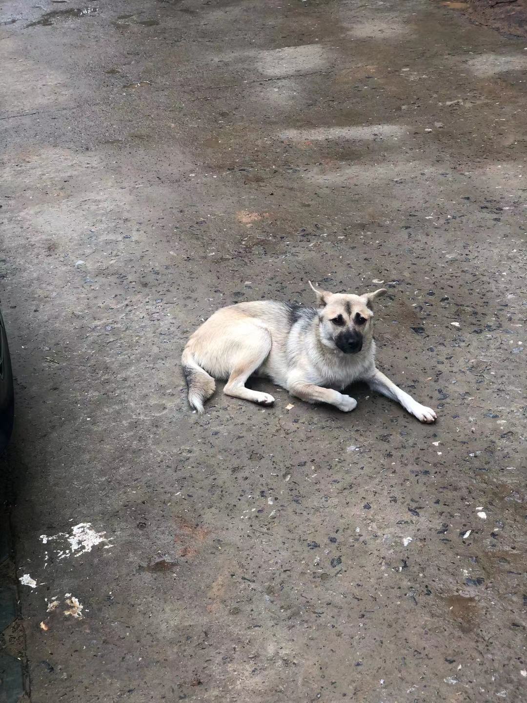 微信图片_20210122164745.jpg