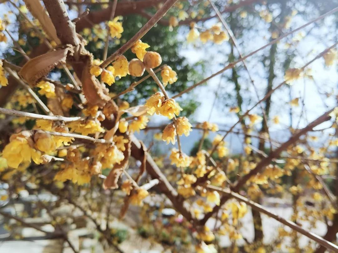 微信图片_20210125114713.jpg