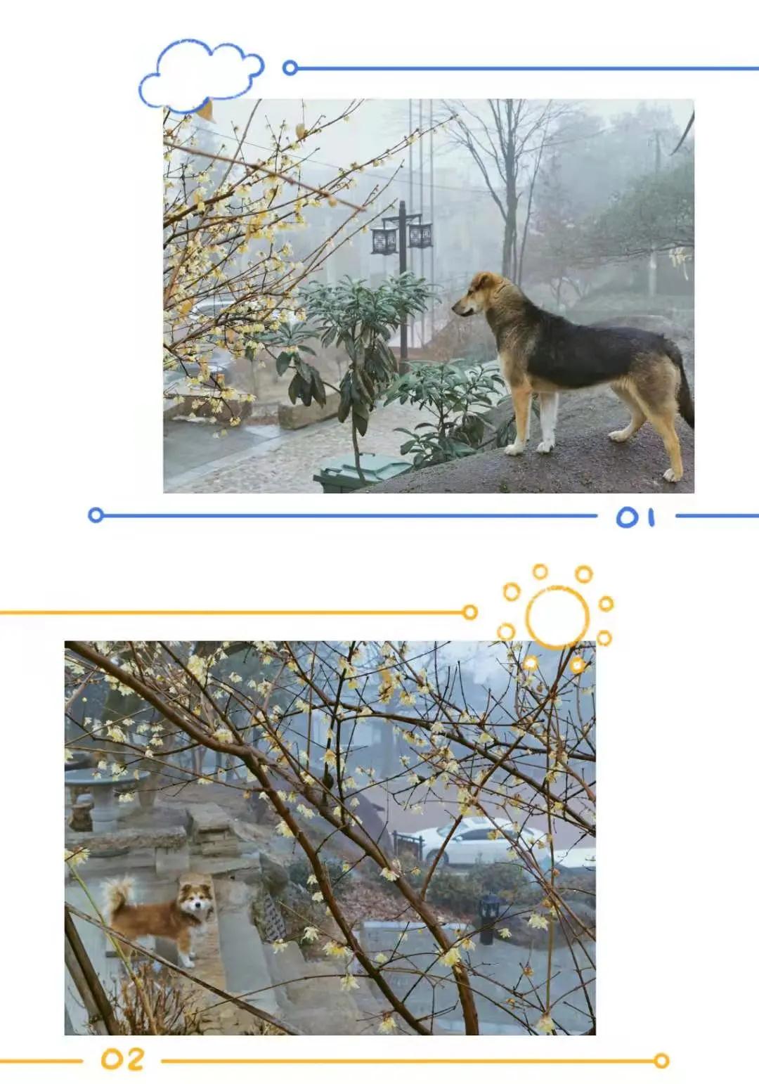 微信图片_20210125114804.jpg
