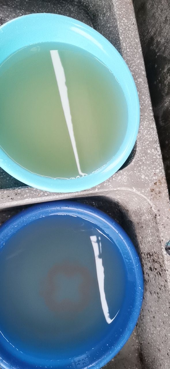 20210126_311675_1611620335271.jpg