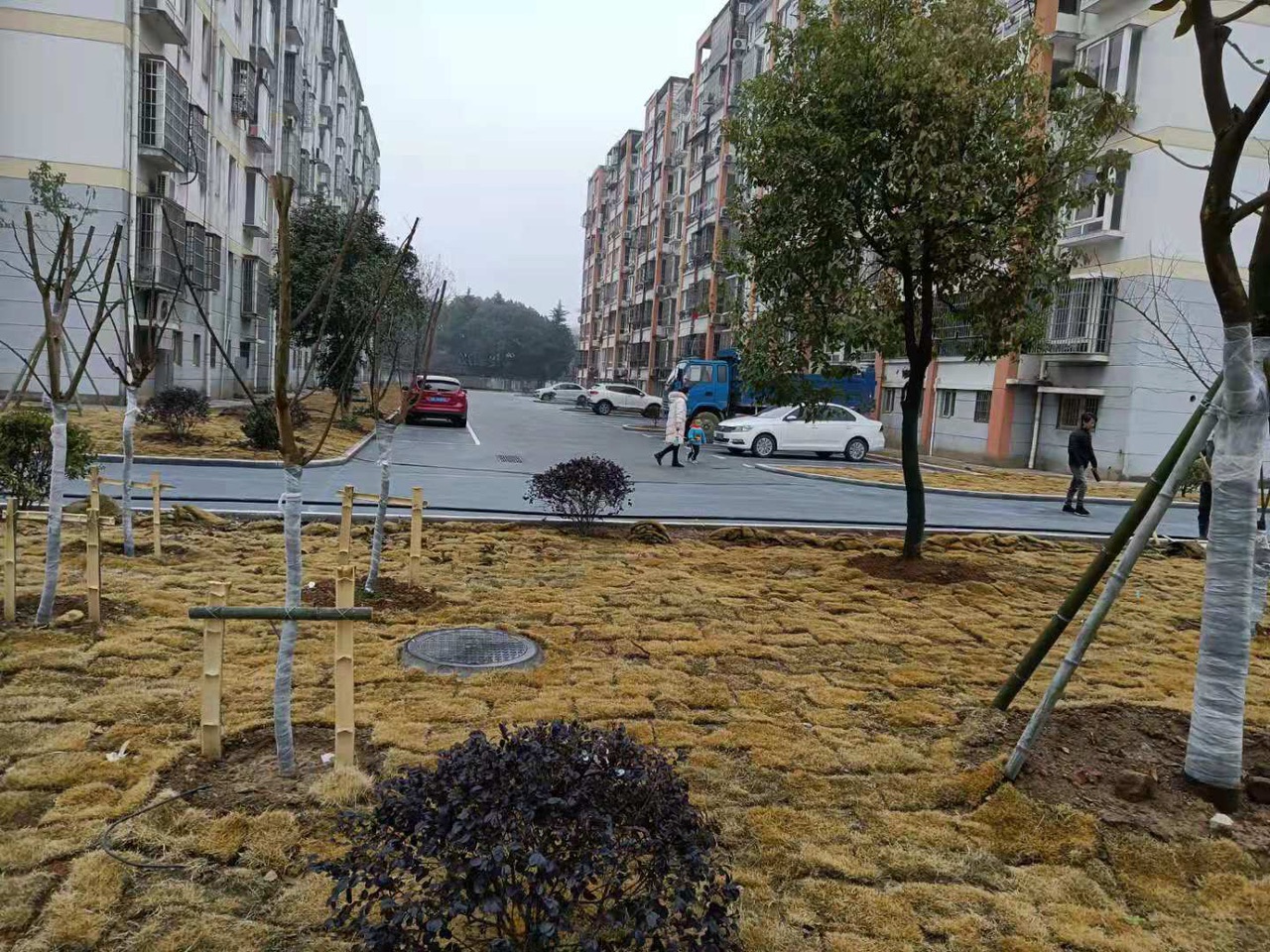 front1_0_Fjl5tSWfV3q-PFwsqo94CGeOzLu-.1611657268.jpg