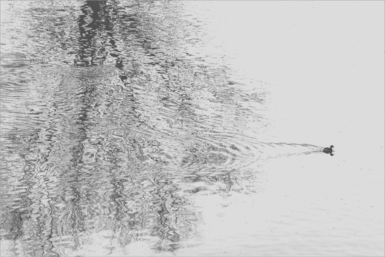 front2_0_FjE_7-mDtQIN2ohvCX8-w0jzank4.1611708809.jpg