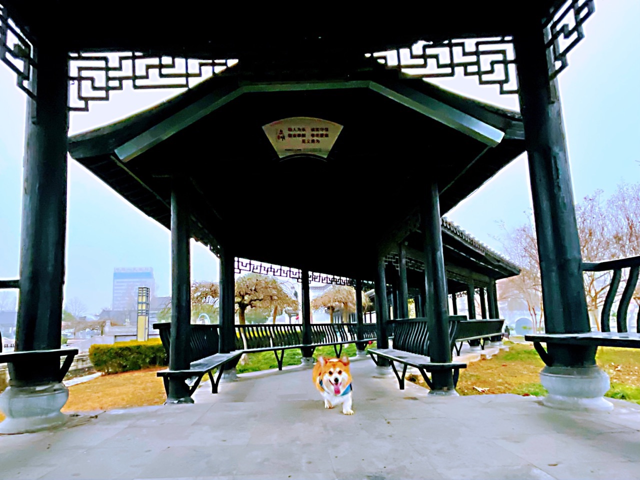front1_0_FoxzzDi4SdRTqWDv3LPxc8M_XPuS.1611793579.jpg