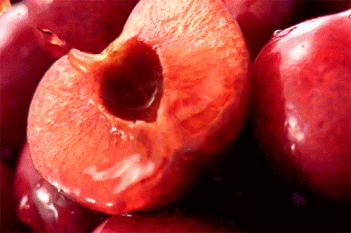 微信图片_20210128142952.gif