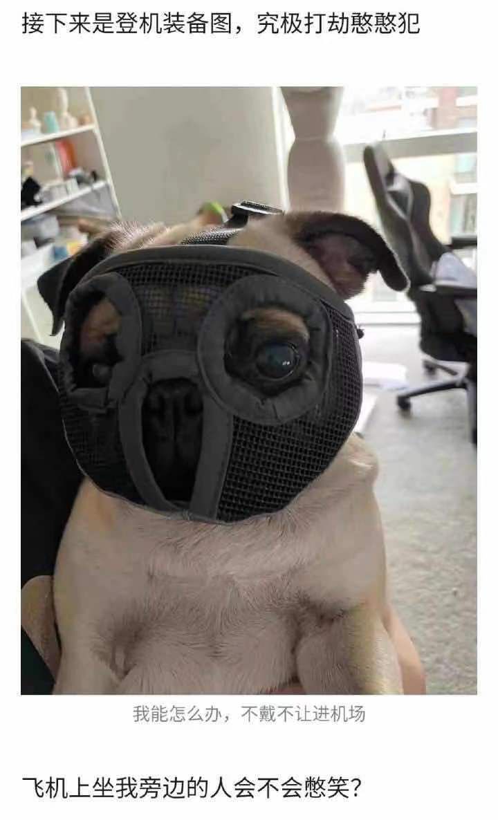front2_0_FjwmzJedxAdeCkYPuXVQNFvejwTS.1611837886.jpg